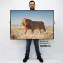 Ver imagem 2 de Quadro Decorativo em Canvas Lobos TaColado Moldura Flutuante 4,5cm Freijó 120 x 80cm