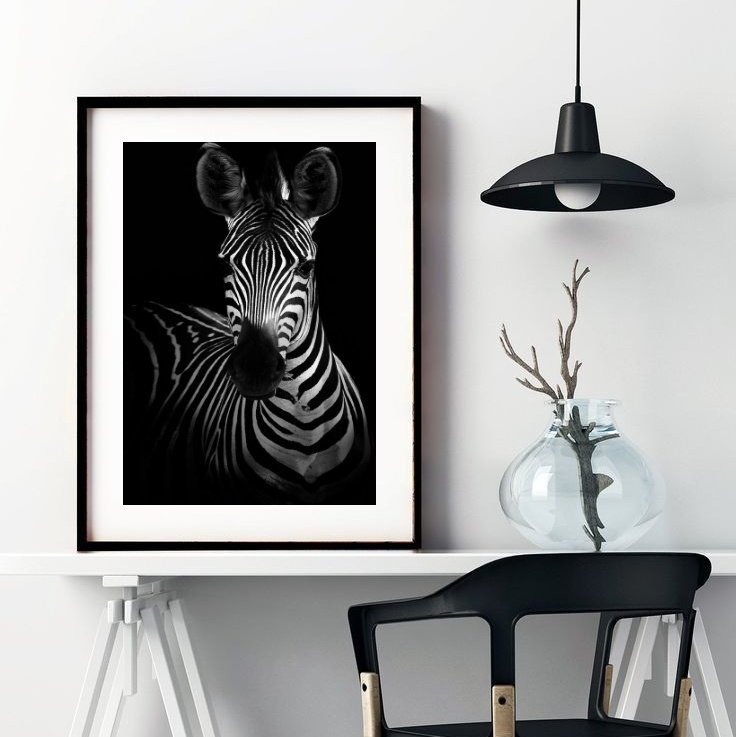 Quadro Fotografia Zebra - 60x48cm:madeira Branca