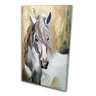 Quadro Decorativo Cavalo Tordilho P575 - 1