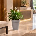 Ver imagem 4 de Vaso Plástico para Plantas Folhagens 55cm Tramontina Gipsy C