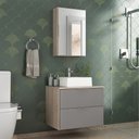 Ver imagem 1 de Conjunto Gabinete Banheiro Rubi 60cm - Gabinete + Cuba + Espelheira - Madeirado/cinza