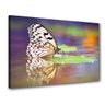 Quadro Decorativo Borboleta Luz P177 - 1