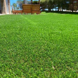 Grama Sintética Noronha Paisagista Premium - 30mm de Altura (1m²) Padrão Europeu - 2m de Largura - 7