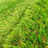 Grama Sintética Noronha Paisagista Premium - 30mm de Altura (1m²) Padrão Europeu - 2m de Largura - 11