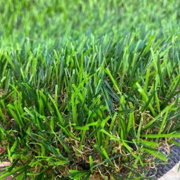 Grama Sintética Noronha Paisagista Premium - 30mm de Altura (1m²) Padrão Europeu - 2m de Largura - 8