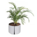 Ver imagem 5 de Cachepó Grande