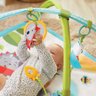 Tapete de Atividades Bebê Infantil Criança Chocalho A Partir dos 2 Meses Gymini Meadow Days Tiny - 5