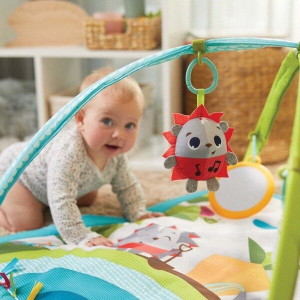 Tapete de Atividades Bebê Infantil Criança Chocalho A Partir dos 2 Meses Gymini Meadow Days Tiny - 10