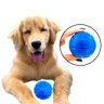 Bola Pula Pula Lisa Para Cachorro Pet Dog 65mm: Azul - 3