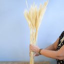 Ver imagem 1 de Maço de Trigo Envelhecido | Linha Permanente Formosinha