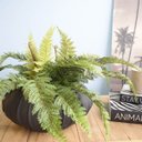 Ver imagem 5 de Arranjo Artificial de Samambaia Luxo no Vaso Hanazaki Preto |Linha permanente Formosinha