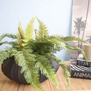 Arranjo Artificial de Samambaia Luxo no Vaso Hanazaki Preto |Linha permanente Formosinha
