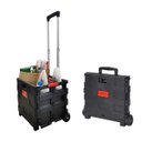 Ver imagem 2 de Carrinho de Compras Multiuso Cesto Transporte Dobrável 25kg Best