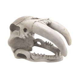 Enfeite de Resina Cabeça de Tigre Dente de Sabre P - Soma - 057598 - 3 Enfeite de Resina Cabeça de Tigre Dente de Sabre P - Soma - 057598 - 3
