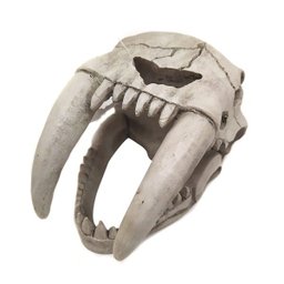 Enfeite de Resina Cabeça de Tigre Dente de Sabre P - Soma - 057598 - 1 Enfeite de Resina Cabeça de Tigre Dente de Sabre P - Soma - 057598 - 1