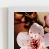 Quadro Cerejeira Okinawa Flores Foto Moldura Branca 60x40cm - 2
