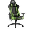 Cadeira Gamer Giratória com Elevação A Gás 2 Almofadas de Apoio Cruiser H01 Preto Verde - 1