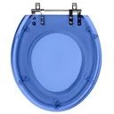 Ver imagem 1 de Assento Sanitario Poliester Convencional Oval Azul Translucido