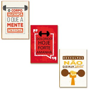 Kit 03 Placas Mdf Frases Academia Decoração Tam 28,7x22 Ac1