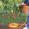 Mangueira Jardim Super Flex 1/2 com Engate Rápido 25m Tramontina - 2
