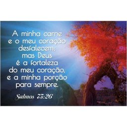 Placa Decorativa Versículo Bíblico Salmos 73:26 - 20x30cm - 1
