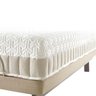 Cama Articulada Ergomotion + Colchão 100% Látex 25cm - Solteiro - 96x203 com Kit Zen - 2
