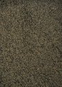 Ver imagem 1 de Tapete Celebrity 200x250 Palomino Chumbo 891