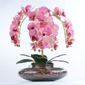 Arranjo Centro de Mesa de Orquídeas Rosa Heloisa