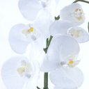 Ver imagem 3 de Arranjo de Orquídeas Brancas em Vaso Gold Rose