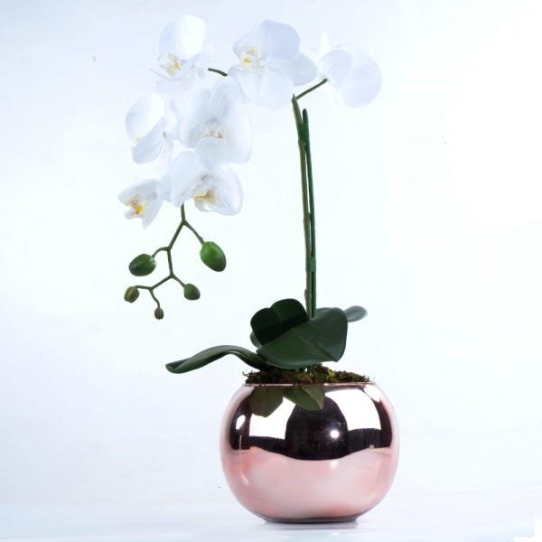 Arranjo de Orquídeas Brancas em Vaso Gold Rose