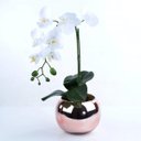 Ver imagem 2 de Arranjo de Orquídeas Brancas em Vaso Gold Rose