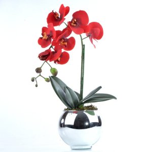 Arranjo de Orquídea Vermelha em Vaso Prata Alice