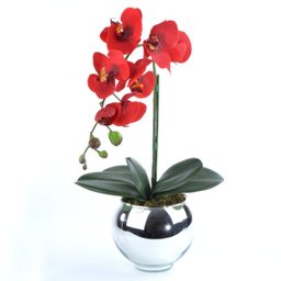 Arranjo de Orquídea Vermelha em Vaso Prata Alice - 3
