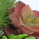 Ver imagem 3 de Arranjo Jardim de Suculentas Coloridas