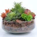 Ver imagem 1 de Arranjo Jardim de Suculentas Coloridas