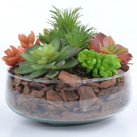 Arranjo Jardim de Suculentas Coloridas