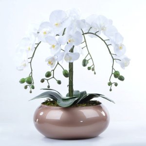 Arranjo Centro de Mesa de Orquídea Branca em Vaso Cobre