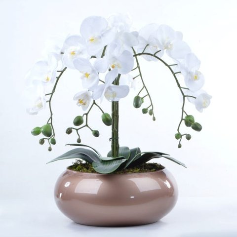 Arranjo Centro de Mesa de Orquídea Branca em Vaso Cobre
