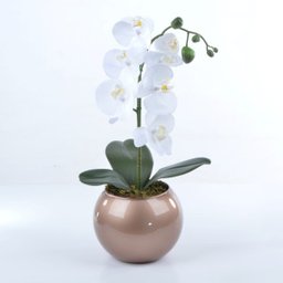 Arranjo de Orquídea Branca de Silicone em Aquário Cobre Luiza - 2