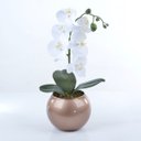 Ver imagem 2 de Arranjo de Orquídea Branca de Silicone em Aquário Cobre Luiza