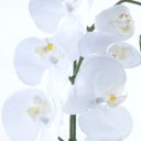 Ver imagem 3 de Arranjo de Orquídea Branca de Silicone em Aquário Cobre Luiza