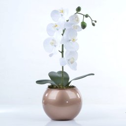 Arranjo de Orquídea Branca de Silicone em Aquário Cobre Luiza - 1