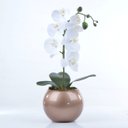 Ver imagem 1 de Arranjo de Orquídea Branca de Silicone em Aquário Cobre Luiza