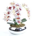 Ver imagem 2 de Arranjo com 4 Orquídeas Tigre Centro de Mesa Espelhado