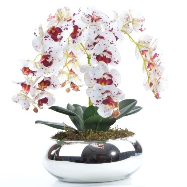Arranjo com 4 Orquídeas Tigre Centro de Mesa Espelhado