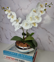 Ver imagem 3 de Arranjo Com 2 Orquídeas Branca Vaso Prata 22cm