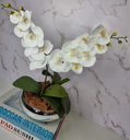 Ver imagem 2 de Arranjo Com 2 Orquídeas Branca Vaso Prata 22cm