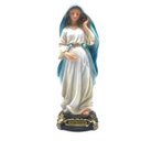 Ver imagem 1 de Imagem de Nossa Senhora Maria Grávida Resina Pequena 12 cm