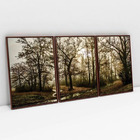 Kit Quadro Decorativo 3 Telas Canvas O Caminho das Arvores TaColado Moldura Flutuante 4,5cm Madeira 