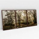 Ver imagem 1 de Kit Quadro Decorativo 3 Telas Canvas O Caminho das Arvores TaColado Moldura Flutuante 4,5cm Madeira 